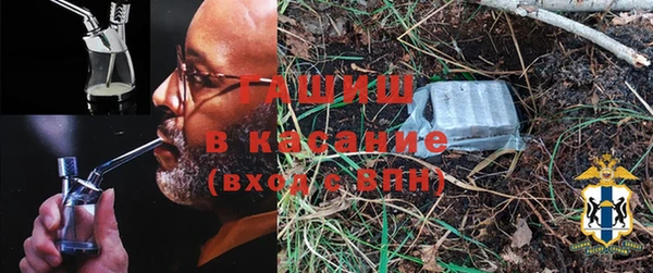 индика Аркадак