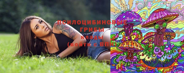 гашик Армянск