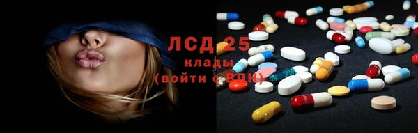 spice Арсеньев