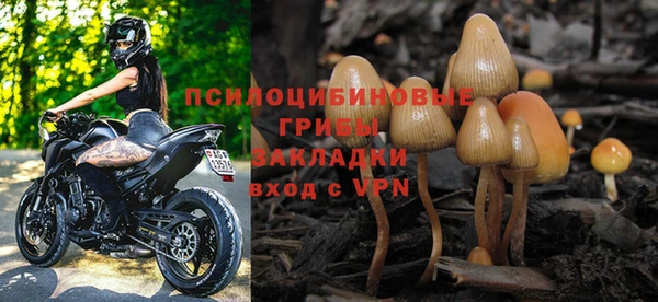 гашик Армянск