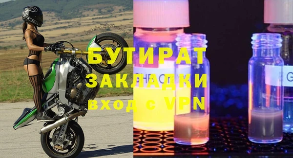 шишки Корсаков
