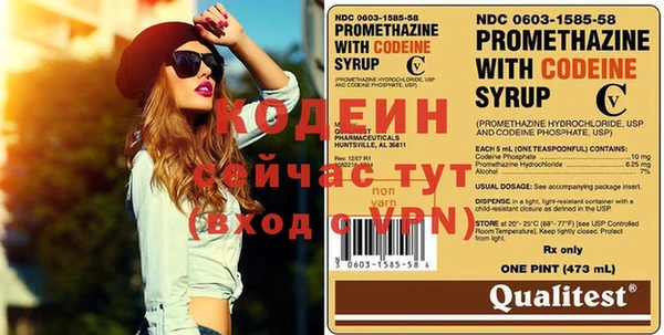 индика Аркадак