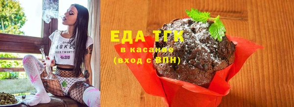 индика Аркадак