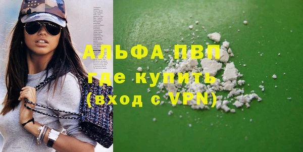 индика Аркадак