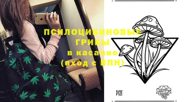 индика Аркадак