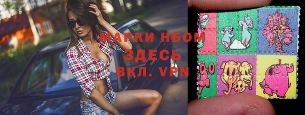 индика Аркадак