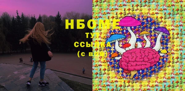 индика Аркадак