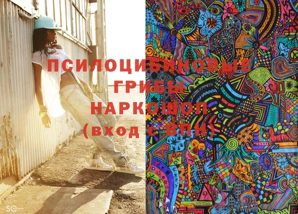индика Аркадак