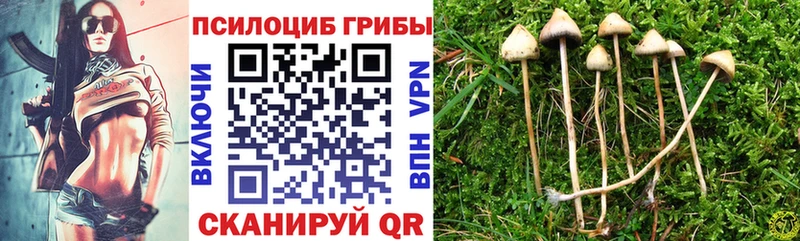 Галлюциногенные грибы Magic Shrooms  площадка телеграм  Владивосток 