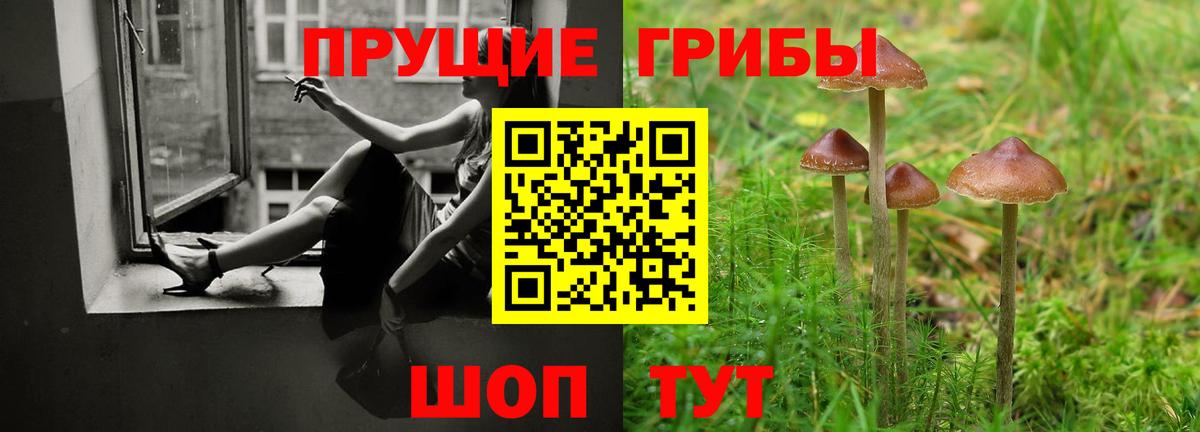 Владивосток  Псилоцибиновые грибы мицелий  Вход с VPN  Галлюциногенные грибы Cubensis 